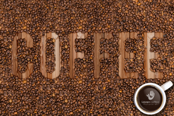 Laven Coffee - cung cấp cà phê pha máy sỉ nguyên chất giá tốt nhất tại Thủ Đức